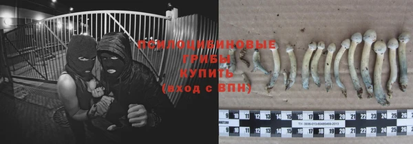 молекула духа Нягань