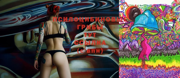 ECSTASY Няндома