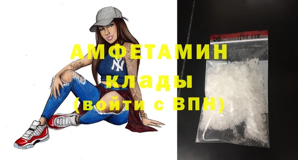 молекула духа Нягань