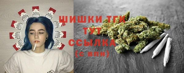 молекула духа Нягань
